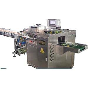Steam Bread Packaging Machine Horizontal Pillow-shape Packing Machine