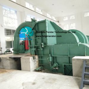 3 Phase AC Hydroelectric Pelton Turbine Generator Compact Structure