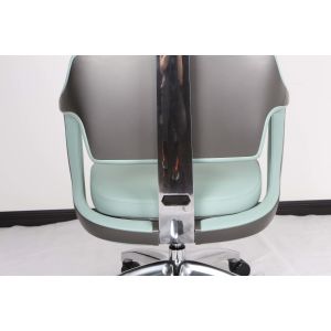 Foam Mid Back Ergonomic Office Chair Executive Swivel Fixed Armrest