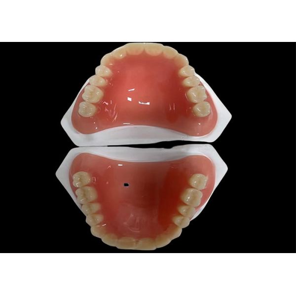 Full Acrylic Dentures Lightweight Durable Affordable and Customizable Solution