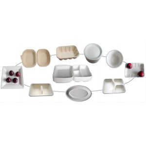 Pulp Food Container making machine/ Pulp tableware products making machine