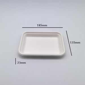 Greaseproof Compostable Square Plates , Supermarket Biodegradable Sugarcane