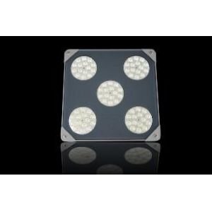 75W LED Canopy Light