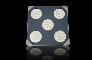 Buy 75W LED Canopy Light at wholesale prices