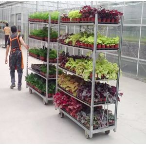Greenhouse Pull Net Q235 PP Wheel CC Danish Plant Trolley