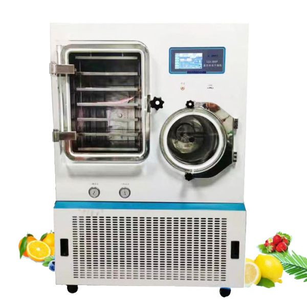 Buy IVD Reagents Lyophilizers Medical Biosample Laboratory Freeze Dryer Pilot In Situ at wholesale prices