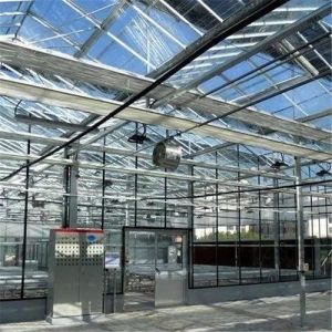 Cultivation Method Hydroponics Customized Glass Greenhouse for Cucumber