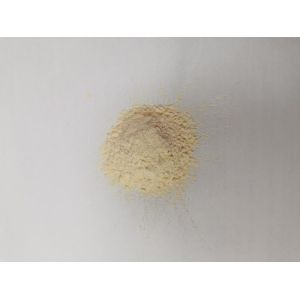 China HALAL Creamy To Light Yellow Dehydrated Garlic Powder 80mesh on sale
