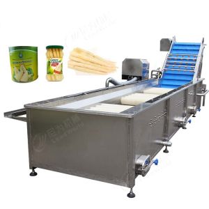 Asparagus Cutting Washing Processing Line / Broccoli Production Machine /