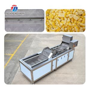 customized blanching machine Fruit Orange Vegetable Leaves Vegetables Carrots