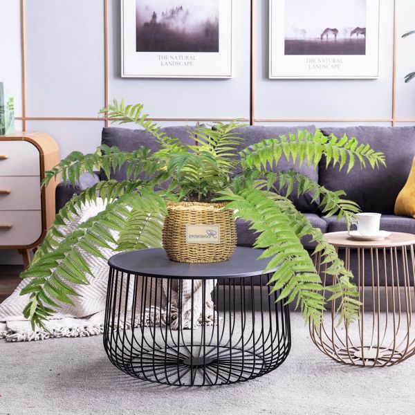 Buy Plastic Home Artificial Phoenix Fern Plants Branch Wedding Centerpiece Indoor Decorative at wholesale prices
