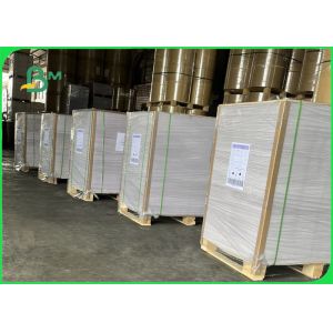 190mic Matte Polypropylene PP Paper For Poster Non - Tearable 500 * 800mm