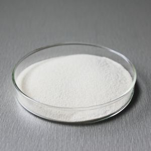 300USP-6000USP Papain Papaya Enzyme FSSC22000 MUI Kosher System Certification