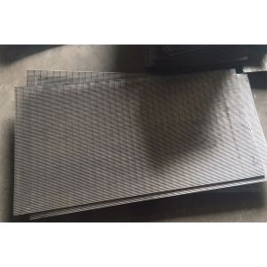 SS 304 304L Sieve Filter Screen Juice Processing Static Wedge Wire Screen