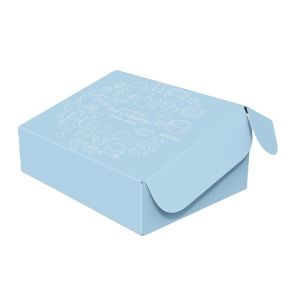 Stickers Durable Custom Printing Airplane Paper Shipping Box Packaging Gift