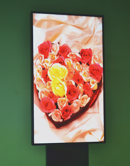 49" Dual Face Digital Shop Window Signage 2500 nits High Bright E-poster