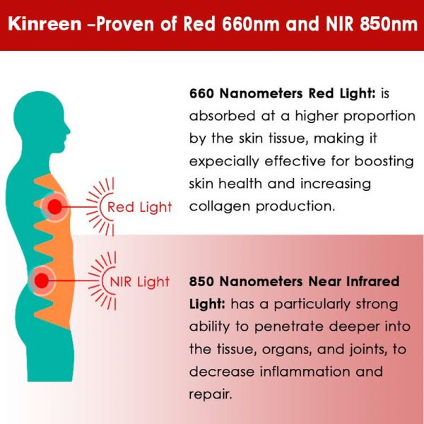 Full Body 600W Red Light Therapy Machines PDT LED Light Therapy Panel