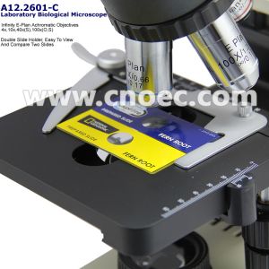 WF10x/18mm 40X 1000X Quadruple Nosepiece Learning Compound Optical Microscope