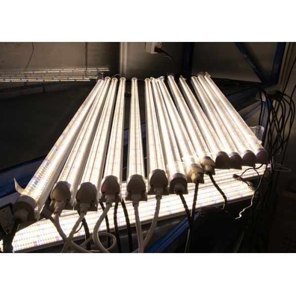 20w Greenhouse Grow Lights Led Herb Grow Light Size 90cm For Indoor Farming