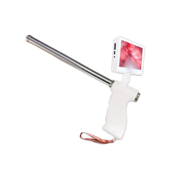 Buy Portable Artificial Insemination Device 240v 22mm Cow Cattle at wholesale prices