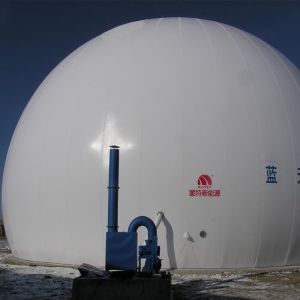 Ground Mounted Dual Membrane Biogas Balloon With Capacity 50 – 20000m3