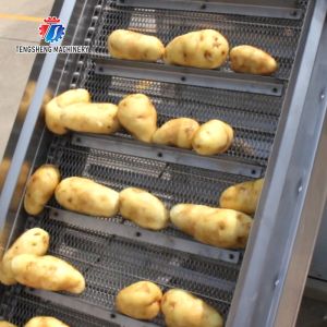 Commercial Electric Vegetable Elevator Machine Food Processor