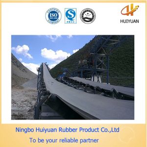 China Industrial Conveying System Conveyor Belt (heat-resistant 200 degree) on sale