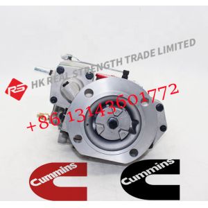 Cummins NT855 Engine Parts Injection PT Fuel Pump 3892658 3095502 3895537