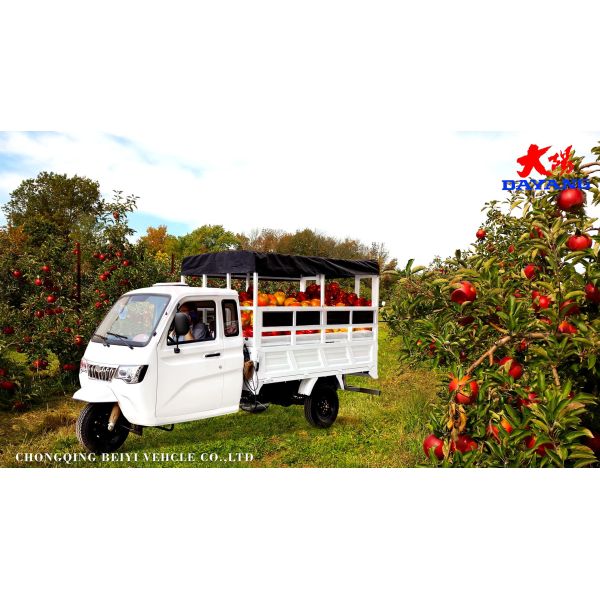 800W Semi-Cabin Motorized Cargo Tricycle with Enclosed Cabin and Plastic Cargo Cover