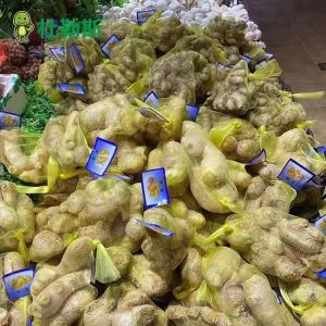 Diameter 3mm LDPE Mesh Netting Bags For Vegetable