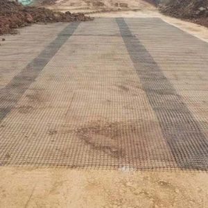 Industrial Design Style Bidirectional Plastic Geogrid for Road Foundation