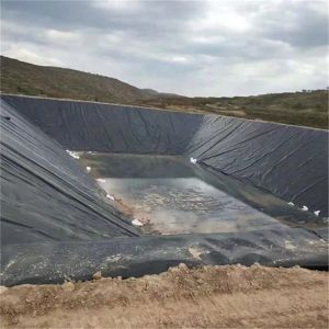 Industrial Design Style 1mm HDPE Geomembrane with Double Smooth Surface and