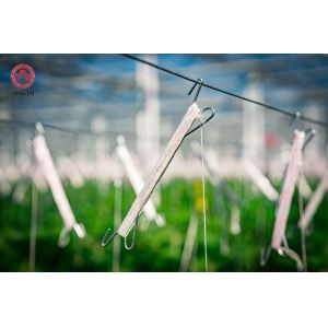 Degradable Natural Fiber Rayon For Agricultural Tomato Tying Twine