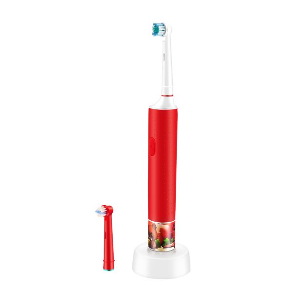 Buy Lightweight Spin Brushes For Teeth at wholesale prices