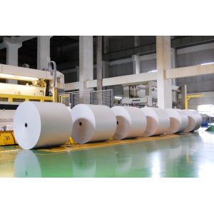 Paper / Pulp Making Color Fixing Agent and Retention Agent High Molecular Weight