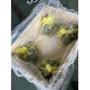 Quality Rexroth A10VSO140DR High Pressure Hydraulic Pump 315 Bar for sale