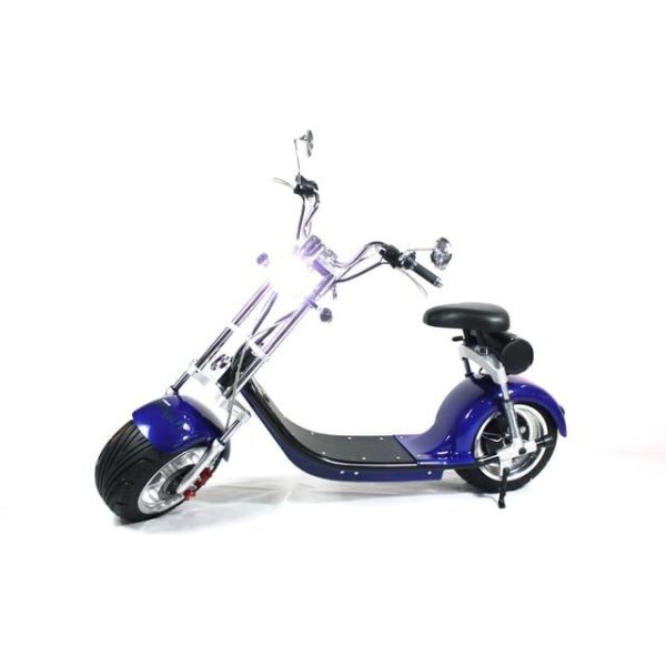 2 Wheel Electric Scooter For Adults , 1000 watt Fat Tires Citycoco Electric