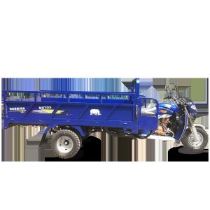 China 300cc Gas Powered Cargo Tricycle with 2000kg Loading Capacity on sale