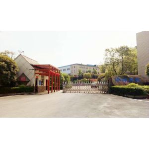 Compostable Pulp Thermoforming Machine 380v Biodegradable Plate Making