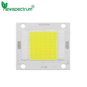 DC 20w Led Light Beads High Brightness Cold White Solar Light Source