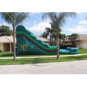 Commercial Inflatable Slide And Paddling Pool 3 Years Warrenty ASTM Approved