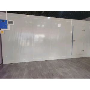 Customizable Size Cold Room Walk In Freezer With PU Panel And Condenser Unit