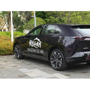 Popular Used Cars Midsize SUV with and Pure Electric Energy Type for Your