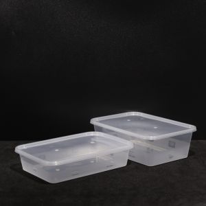 750ml Rectangular Disposable PP Plastic Sandwich Lunch Box