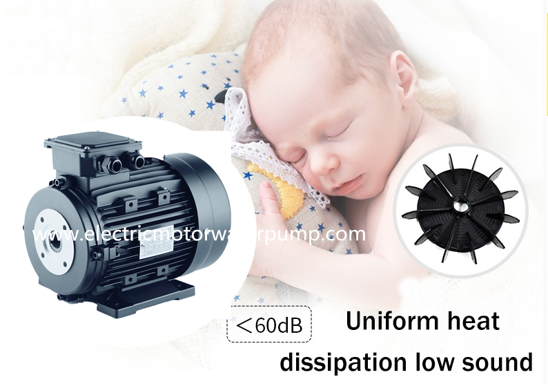 hollow shaft electric motor