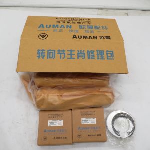 Auman original knuckle repair kit AK880410031