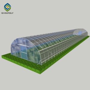 33ft Pe Film Skeleton Dustproof Single Tunnel Greenhouse