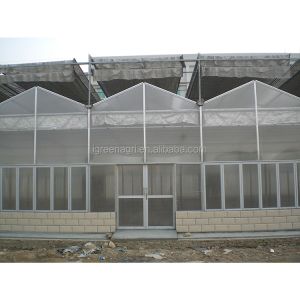 9.6m Tunnel Width Polycarbonate Greenhouse for Sustainable Agricultural