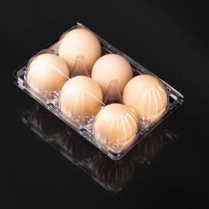Customized PET Transparent Egg Tray Plastic Packaging Reusable With Cover