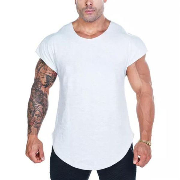 Buy Muscle Fitness high quality soild color Cotton shirts Men sports T-shirt at wholesale prices